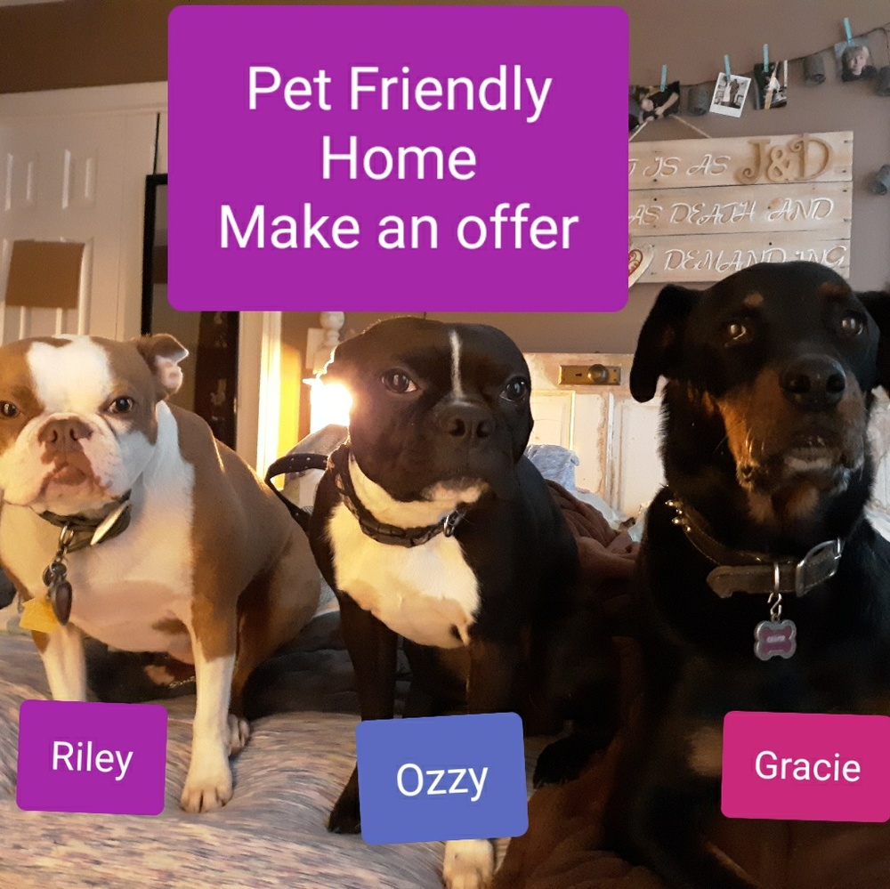 Pet Friendly Home. Make an Offer.